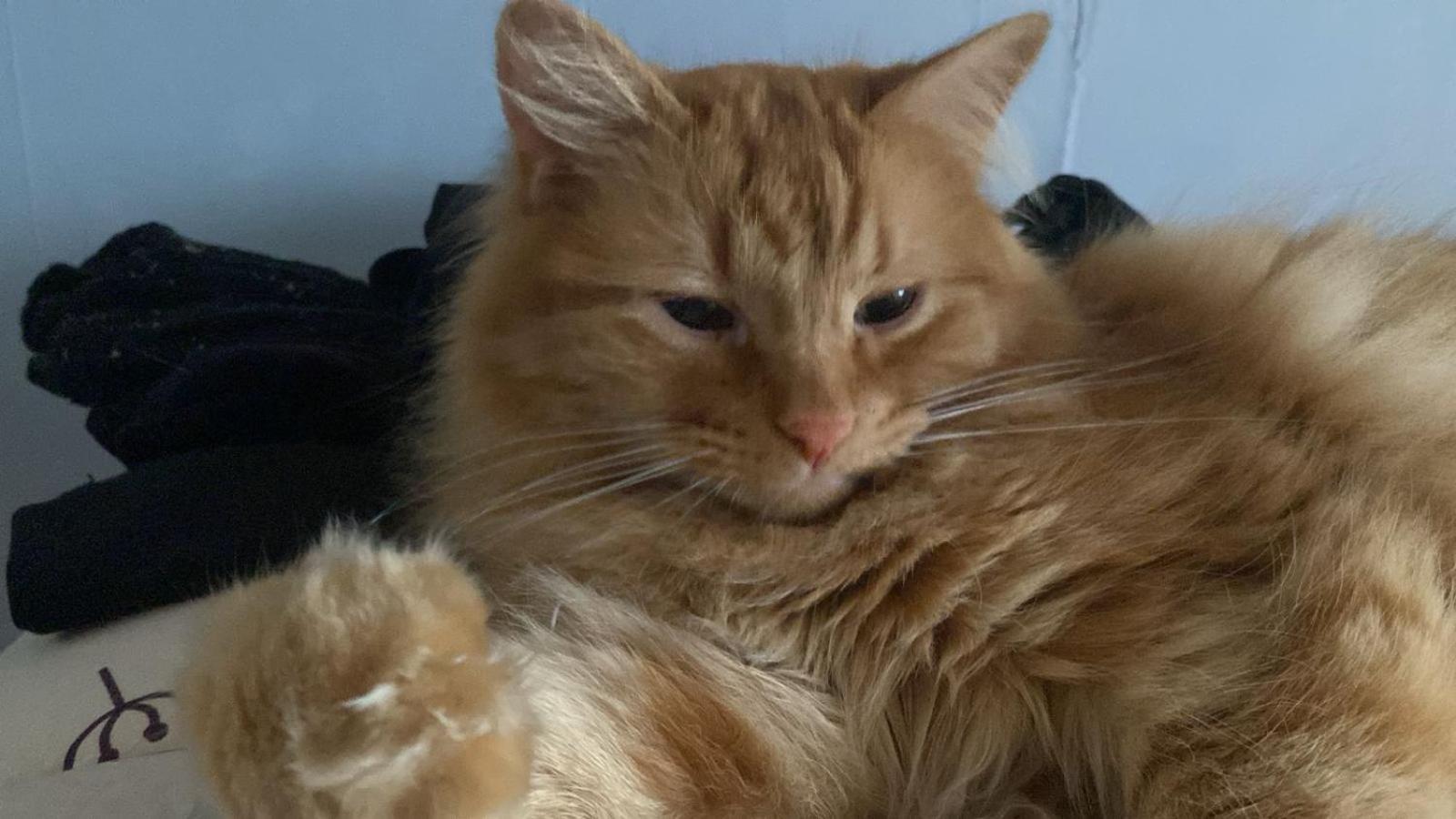 푸에르토나탈레스 Posada De Los Gatos B&B 외부 사진