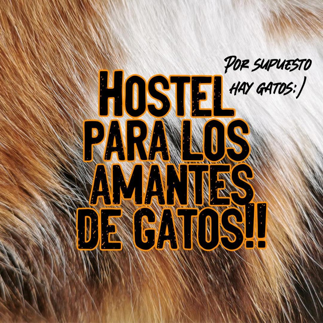 푸에르토나탈레스 Posada De Los Gatos B&B 외부 사진